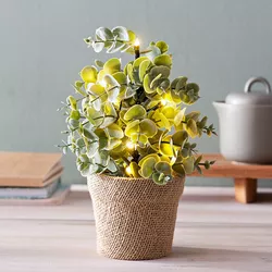 Led umělý eukalyptus v květináči
